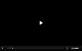 gallery/video-player-flash